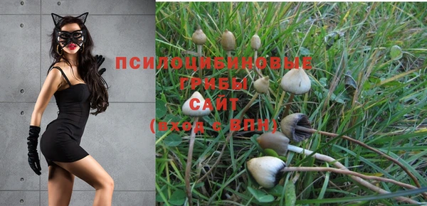 гидра Арсеньев