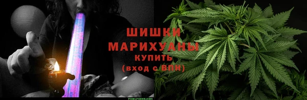 гидра Арсеньев