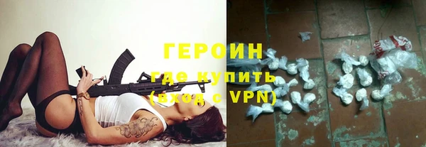 гидра Арсеньев