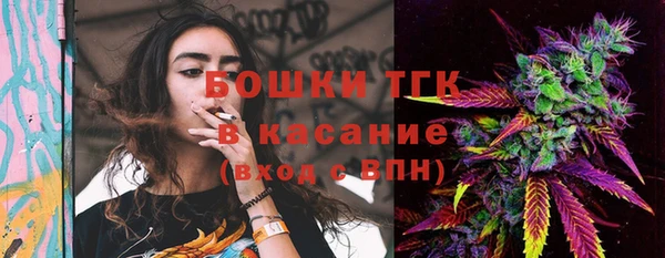 гидра Арсеньев